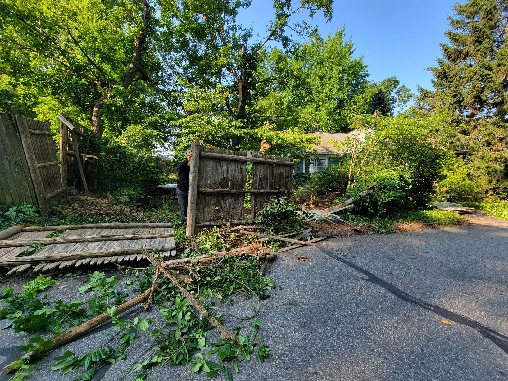 Overgrown residential driveway with fallen branches, weathered wooden gates, and dense green trees